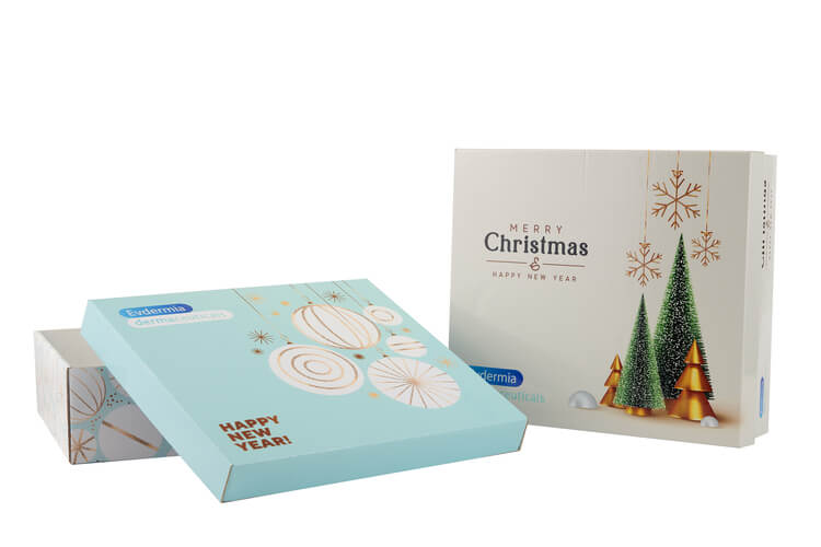 Χάρτινα κουτιά με χριστουγεννιάτικο δημιουργικό και λογότυπο – ΚΩΔ: 23035